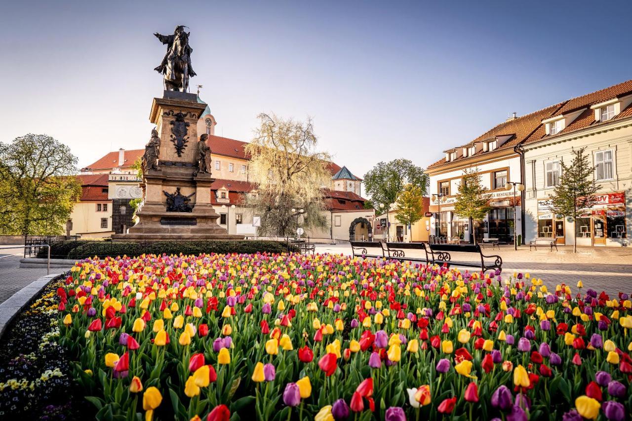 Hotel Zamecek Poděbrady Dış mekan fotoğraf
